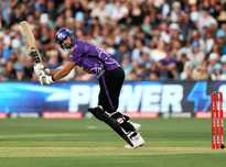 随着市场流 随着市场流