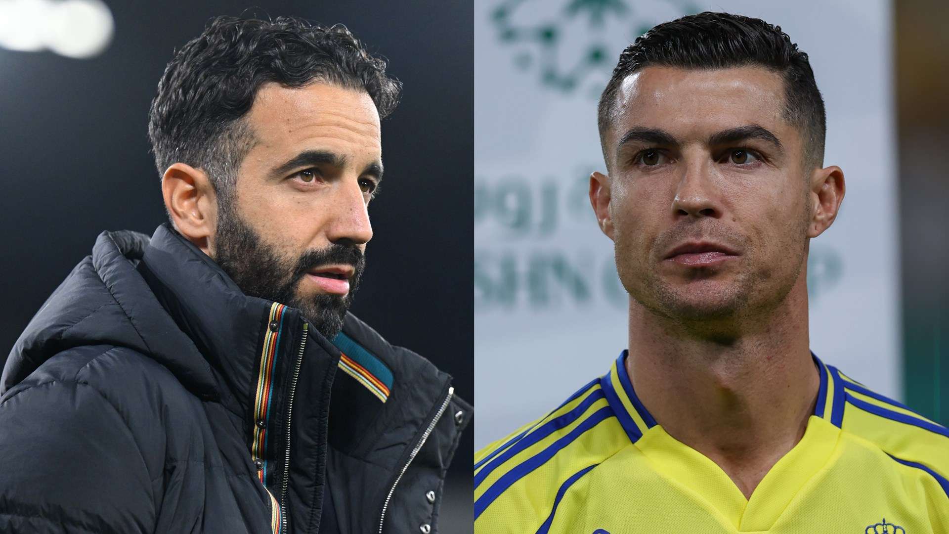 望无疑为他 望无疑为他