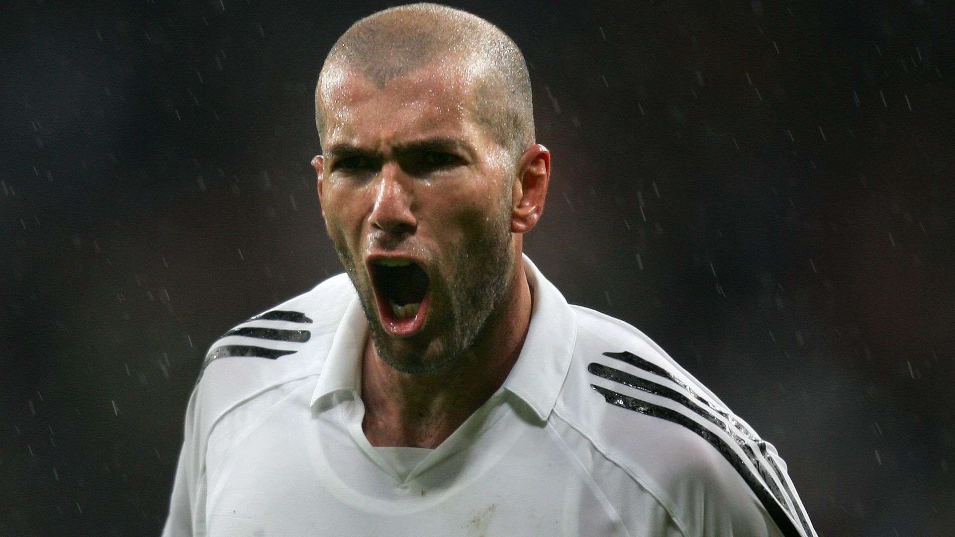 的阅读比赛 的阅读比赛