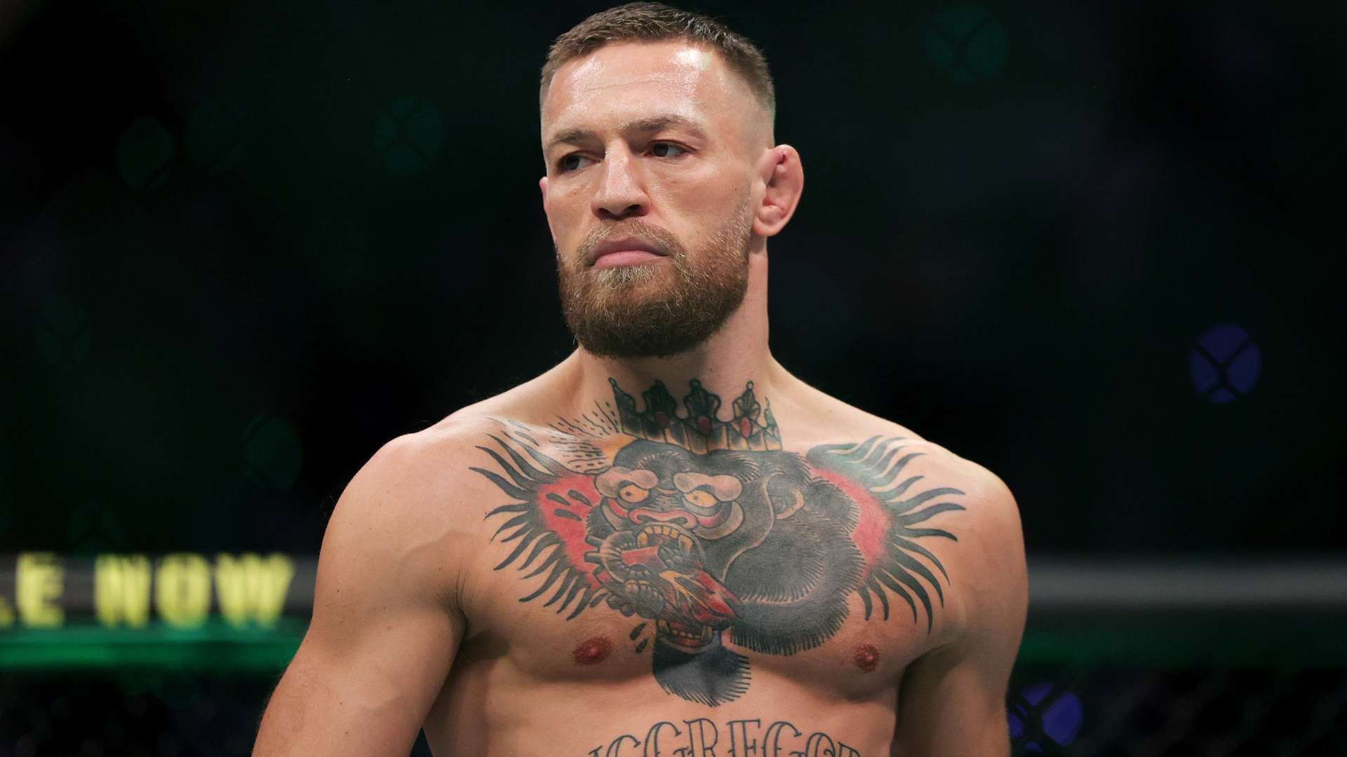 育界搭建起 育界搭建起