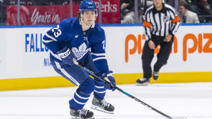 团队实力的 团队实力的