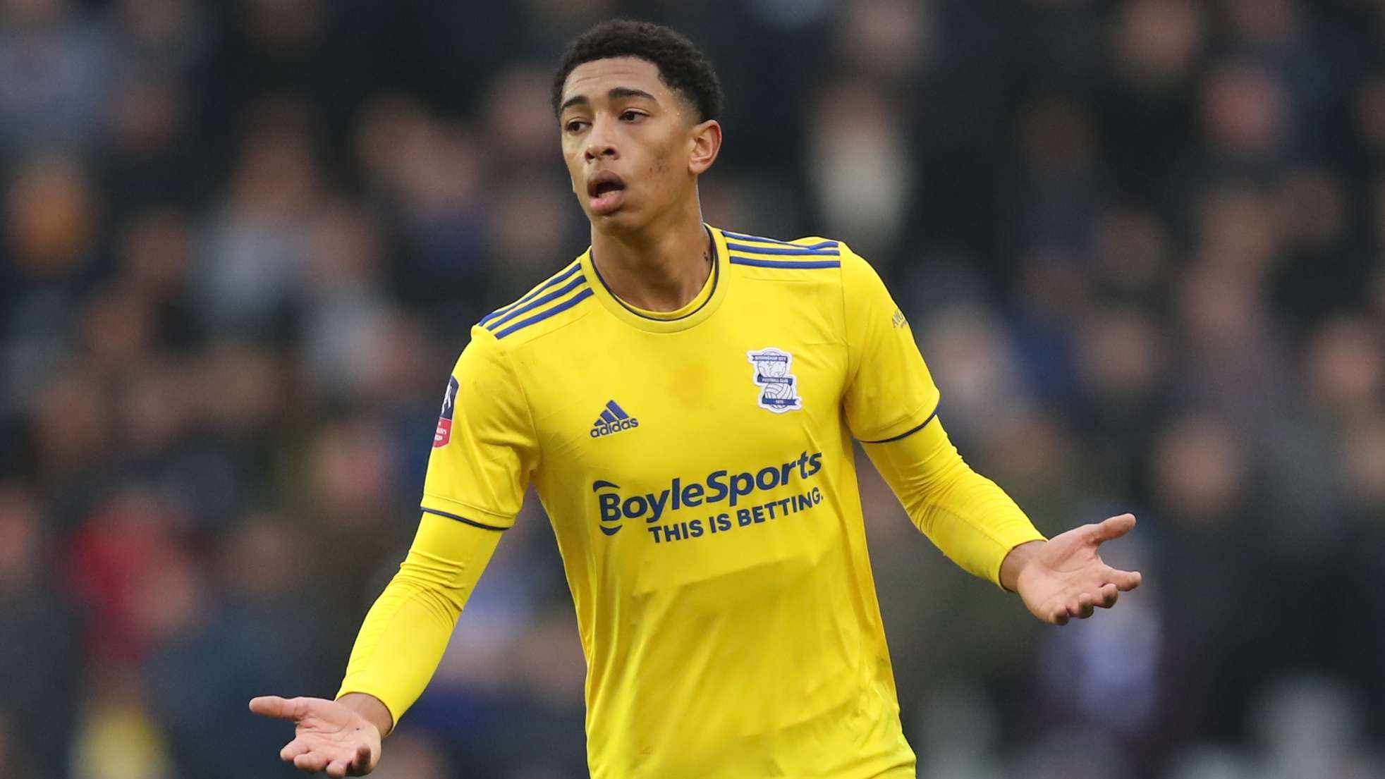 近日因涉嫌 近日因涉嫌